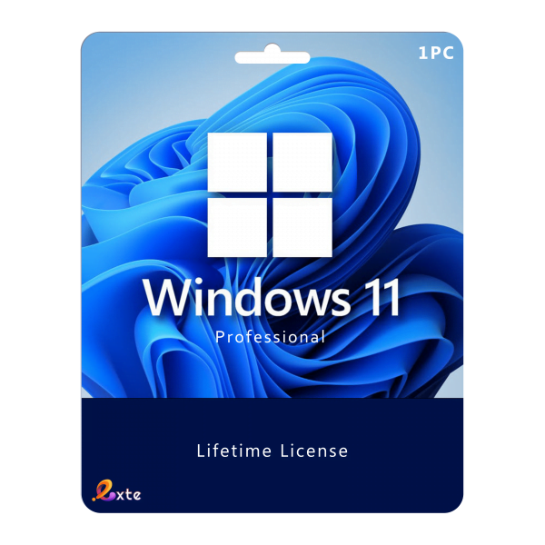 windows 11 pro esd license